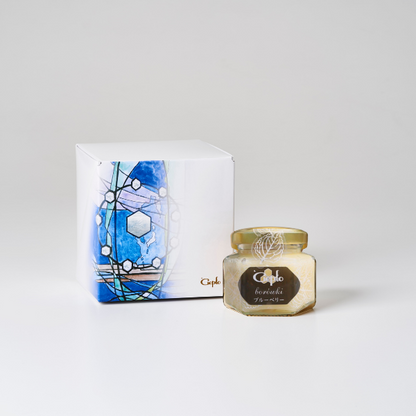 生はちみつギフト,ブルーベリーはちみつ,おしゃれギフト,京都のお土産,ポーランド産はちみつ,内祝いギフト,手土産,プチギフト